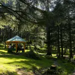 Gazebo personalizzati per eventi B2B: visibilità e funzionalità al servizio del brand